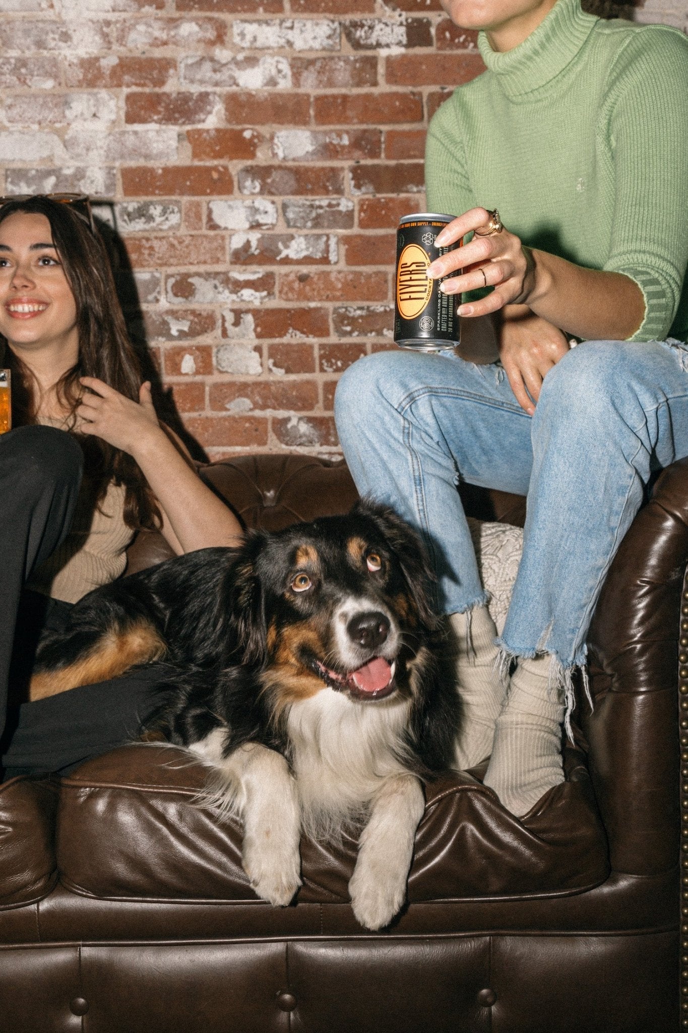 Bkln Gold Sparkling CBD Cocktail (4 - Pack) - The Zero Proof