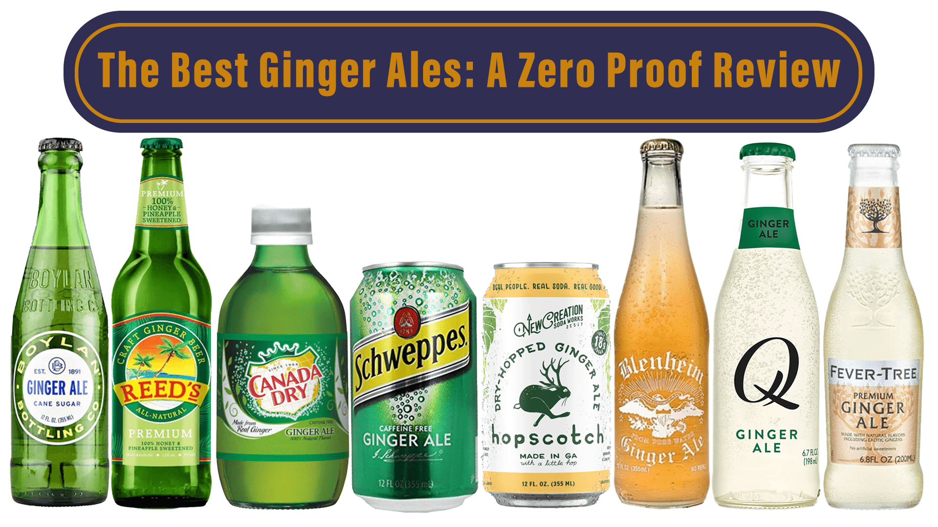 We Tasted Almost Every Ginger Ale Out There and Here’s the Best… - The Zero Proof