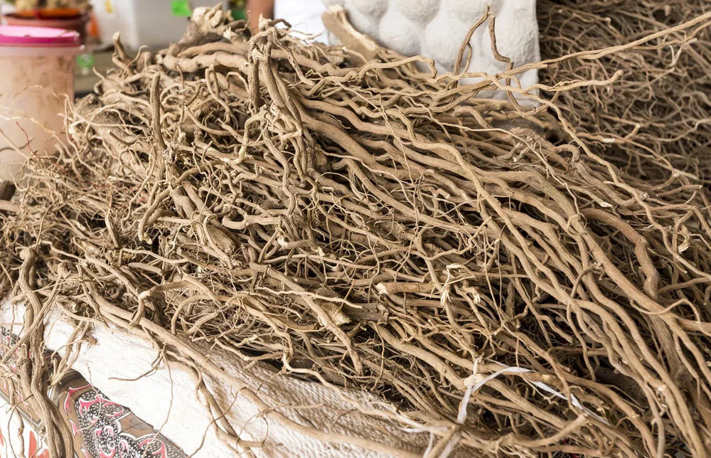 Kava and kanna: The “new” kids on the block (that are actually centuries old) - The Zero Proof