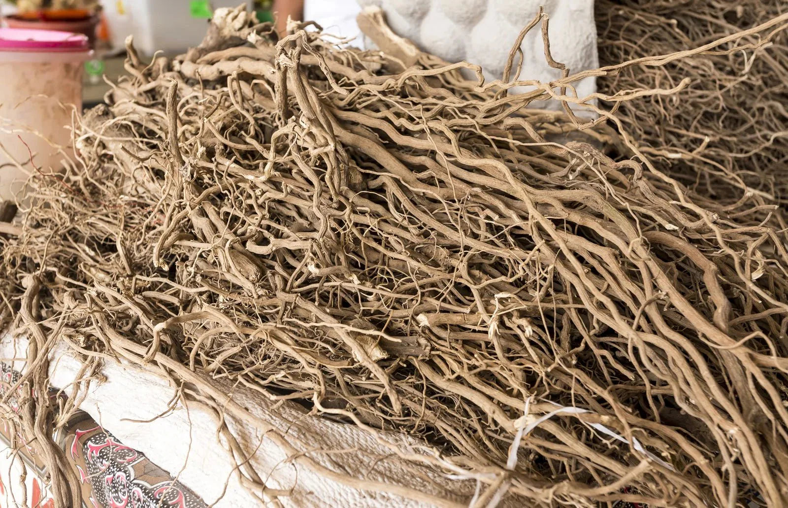 Kava and kanna: The “new” kids on the block (that are actually centuries old) - The Zero Proof