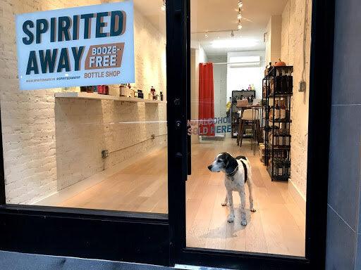 Spirited Away – New York City’s First Booze-Free Package Shop - zero-proof-shop
