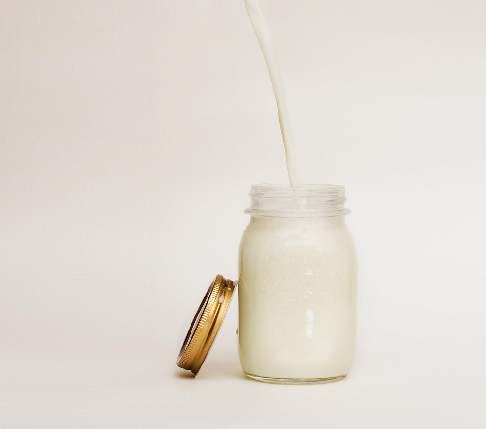 Virgin Vegan Eggnog Recipe - The Zero Proof