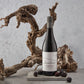 Lautus Savvy Red Blend