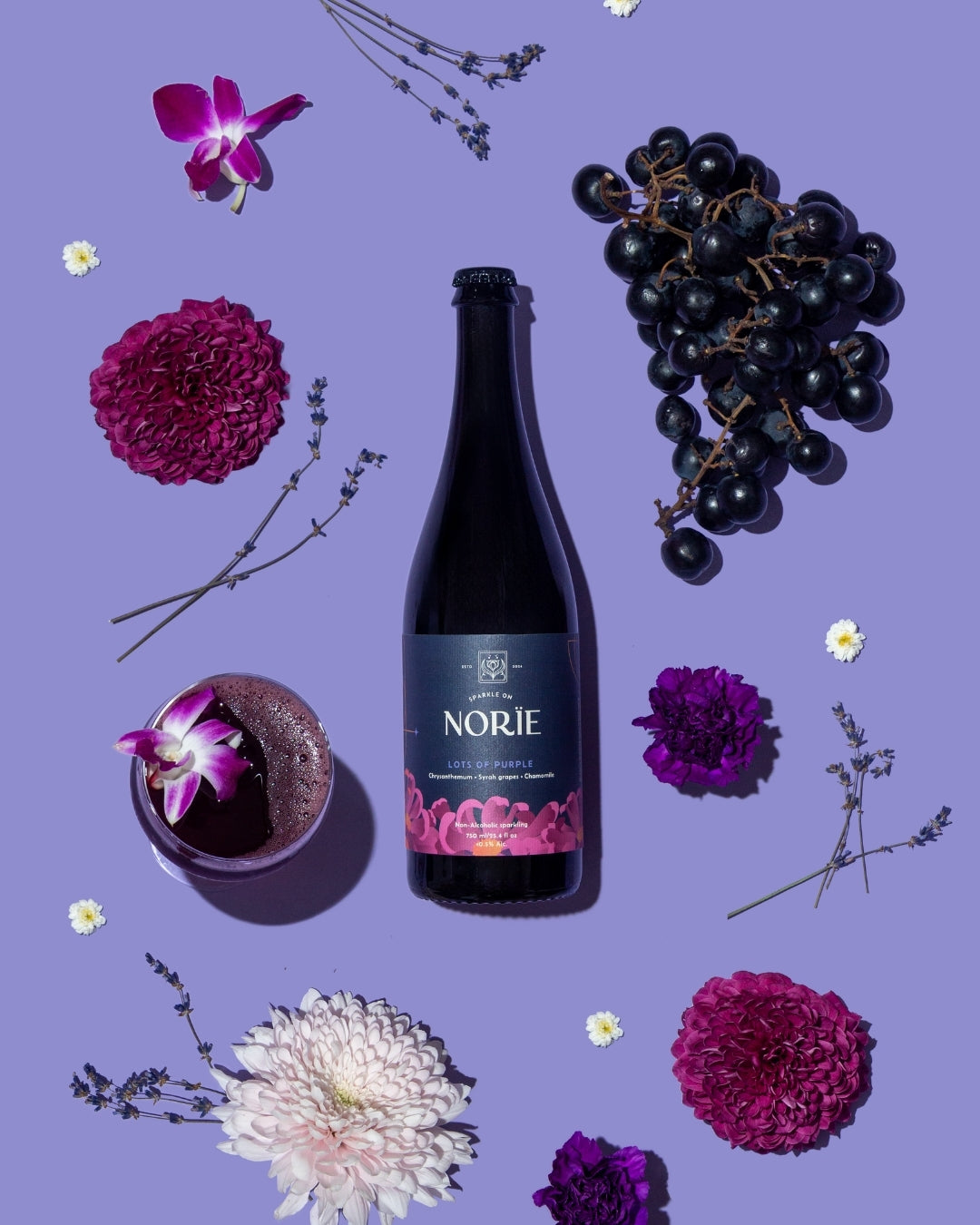 その他 WF2026S GRAPEBRAIN NORI/56 M56/TF1-N03 Norie Sparkling Non-Alcoholic Wine - Lots of Purple