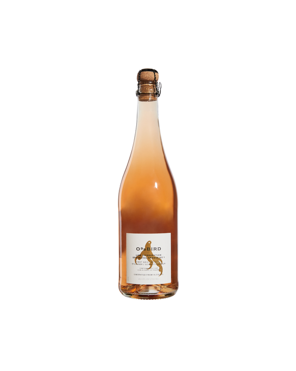 Oddbird Low Intervention Sparkling Orange