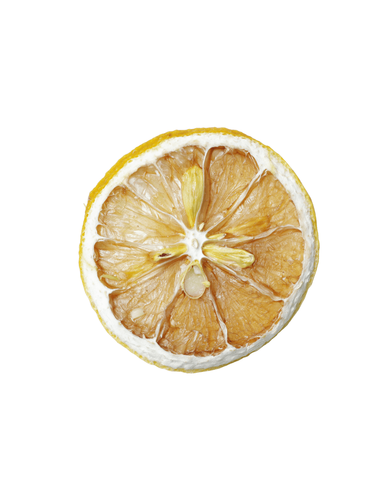 DEHY Lemon Wheel Garnish