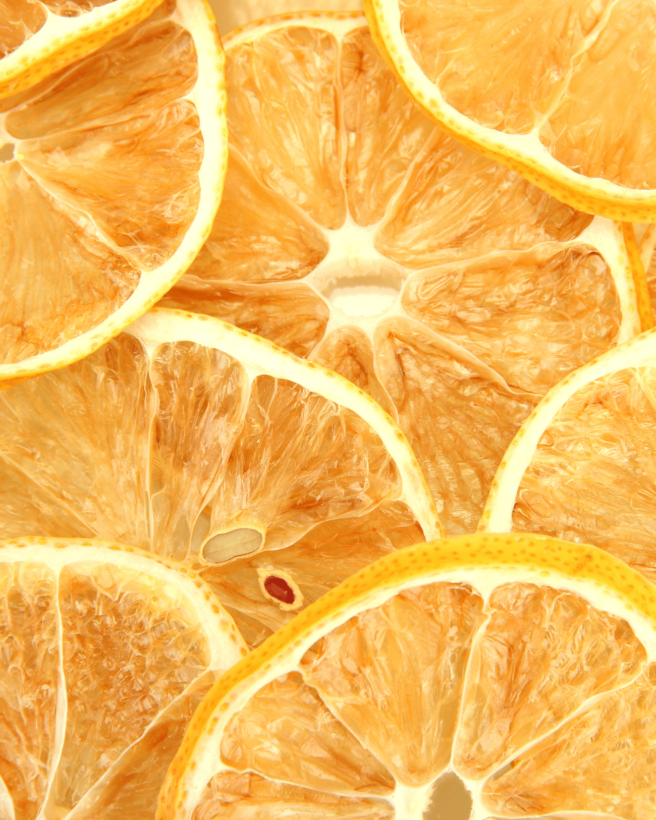 DEHY Lemon Wheel Garnish - The Zero Proof