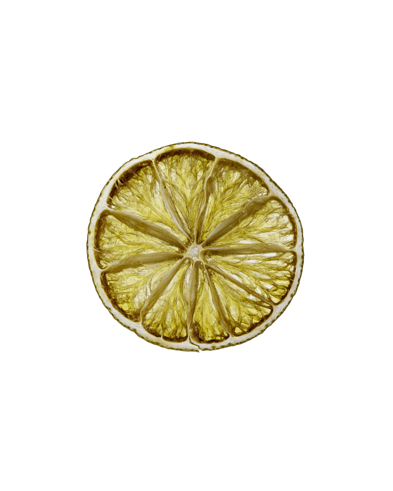 DEHY Lime Wheel Garnish