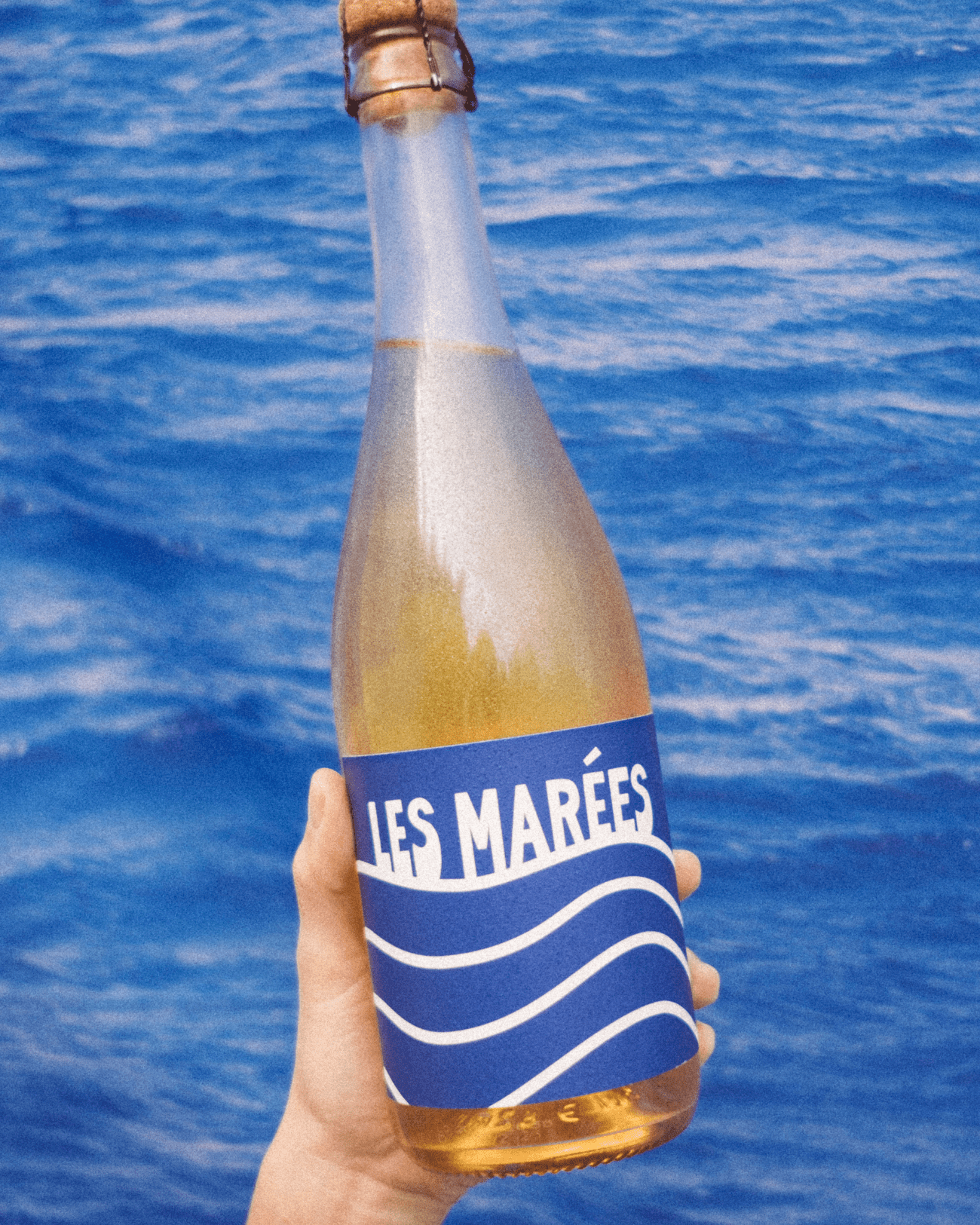 Les Marées Non - Alcoholic Sparkling Blanc de Blancs - The Zero Proof