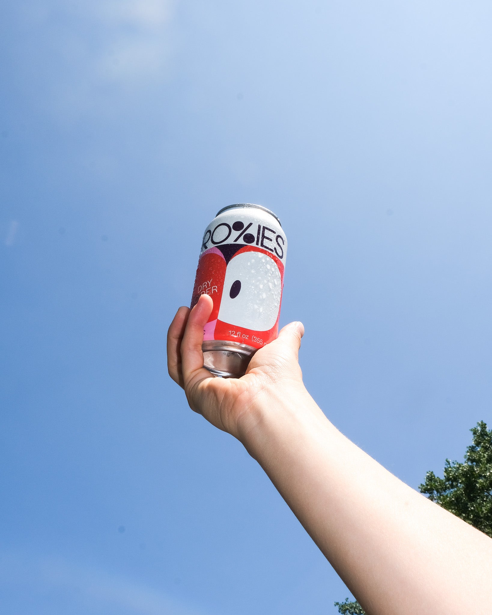 Proxies Non - Alcoholic Dry Cider - The Zero Proof