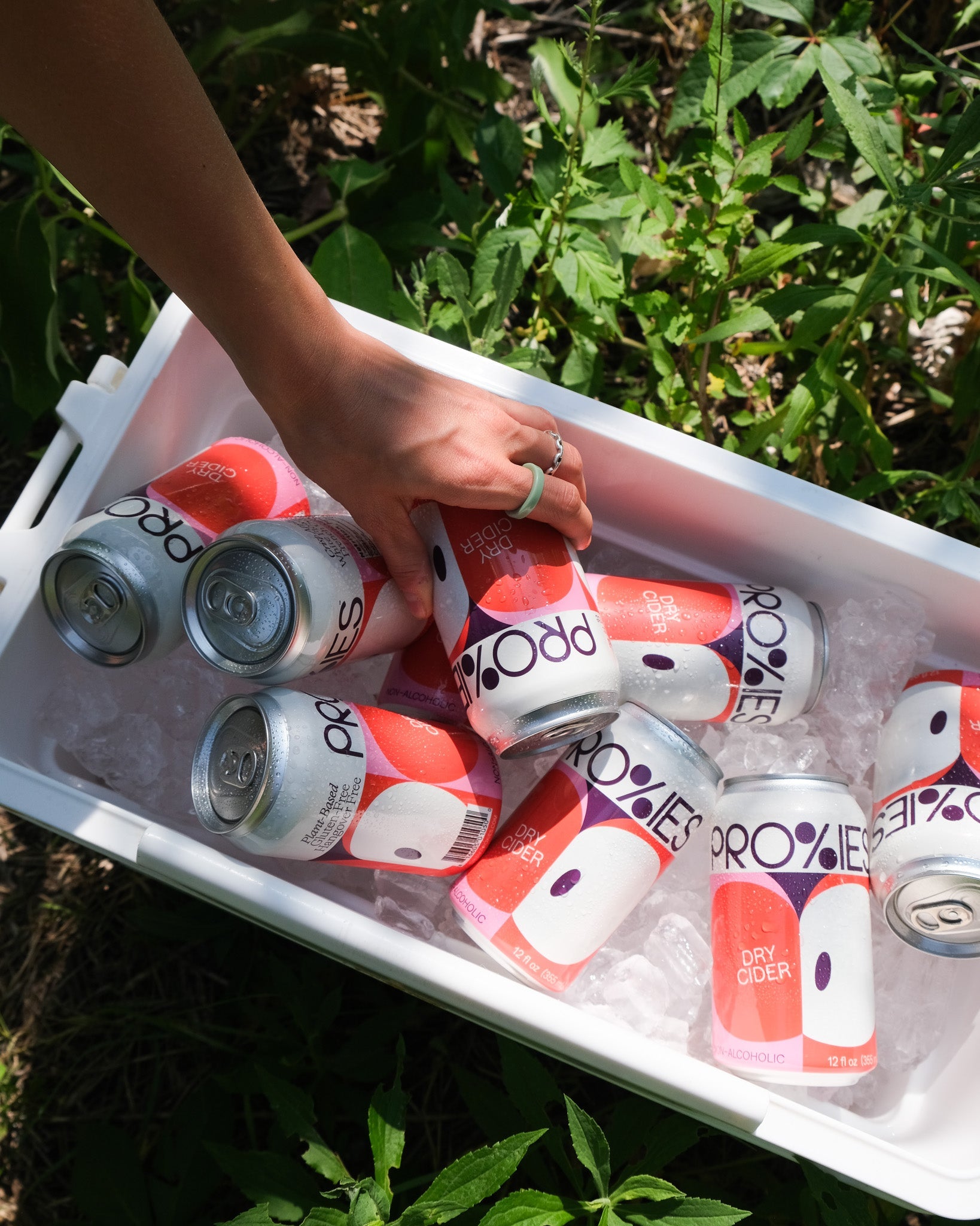 Proxies Non - Alcoholic Dry Cider - The Zero Proof