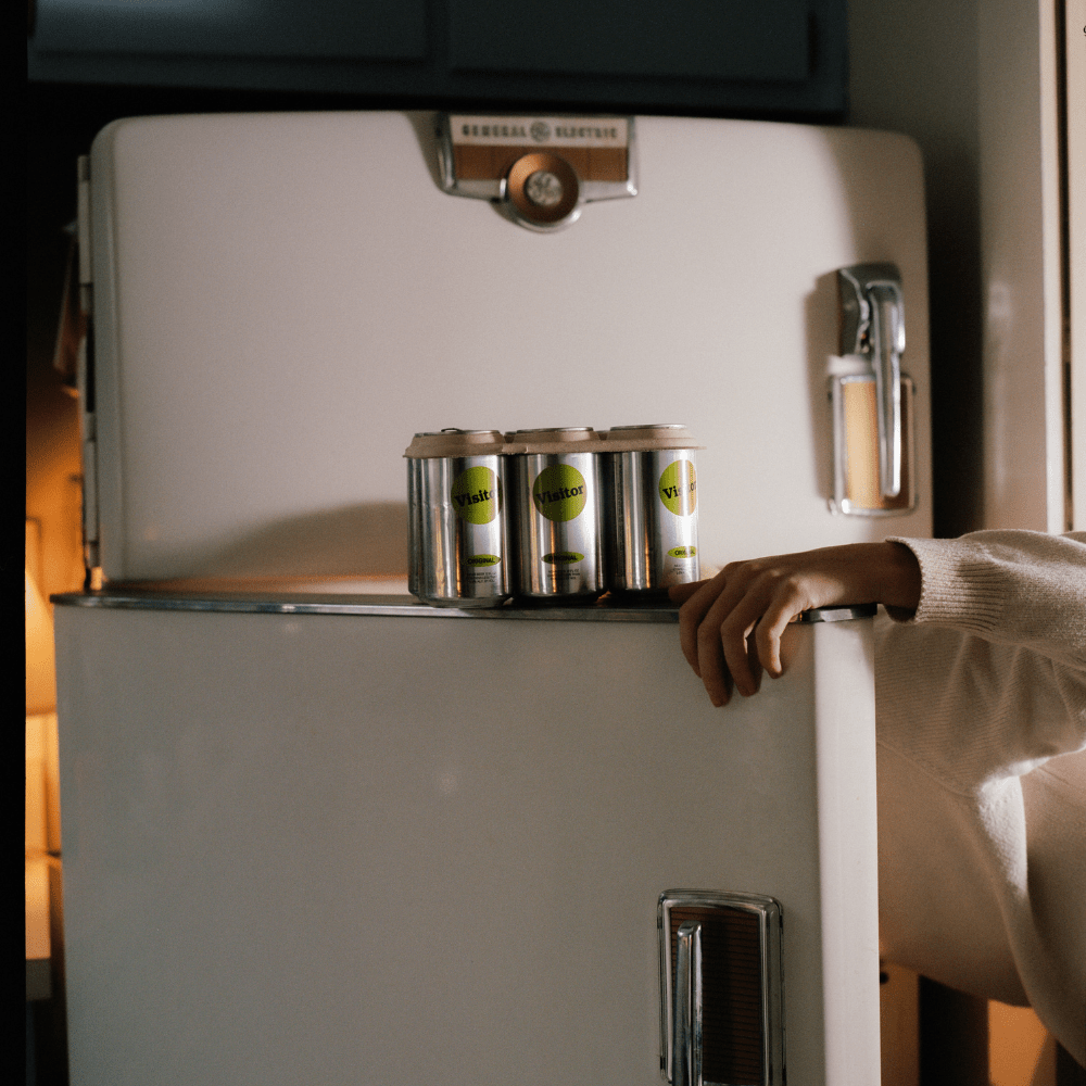 Visitor Original Lager Non - Alcoholic Beer - The Zero Proof