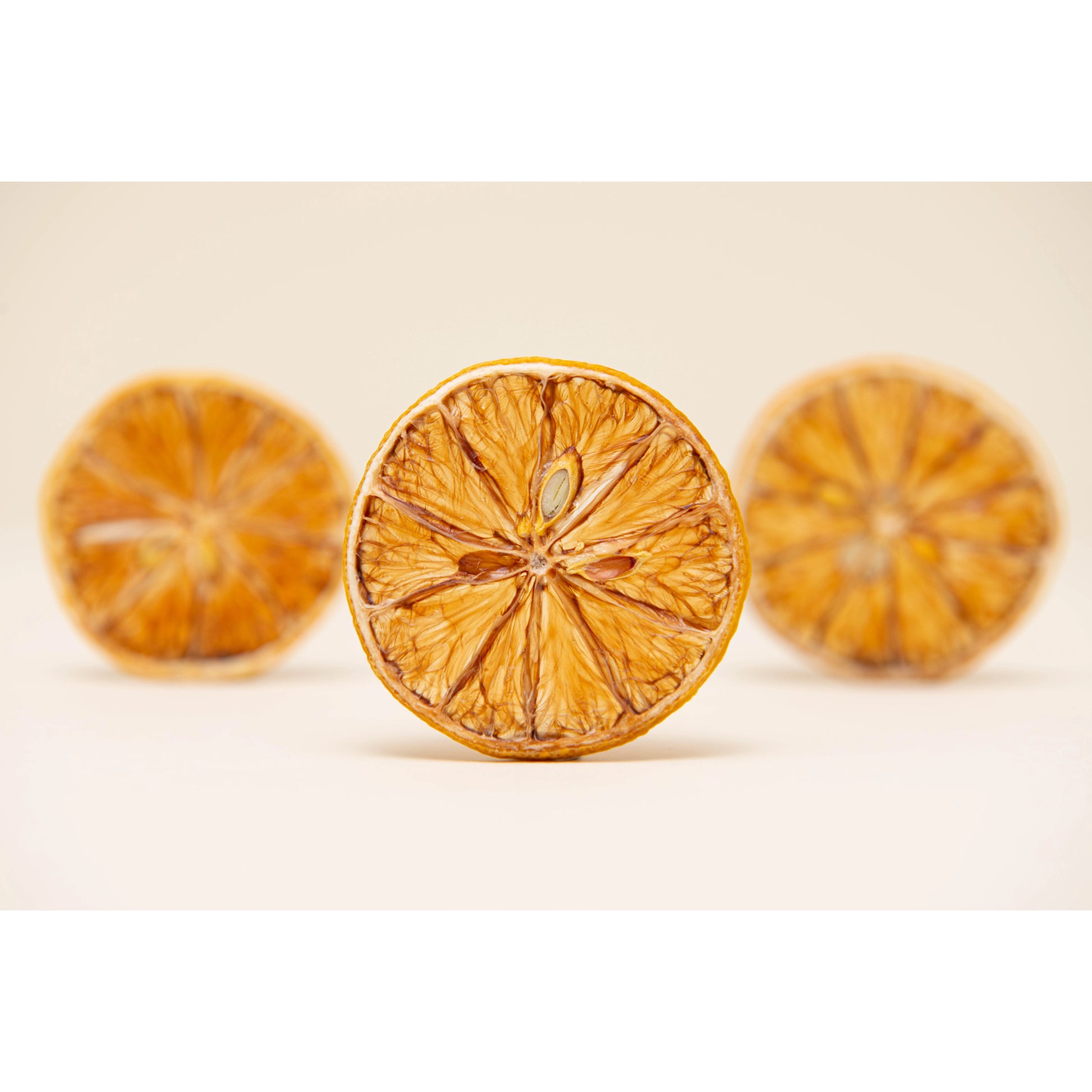 DEHY Lemon Wheel Garnish - zero-proof-shop
