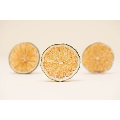 DEHY Lime Wheel Garnish - zero-proof-shop