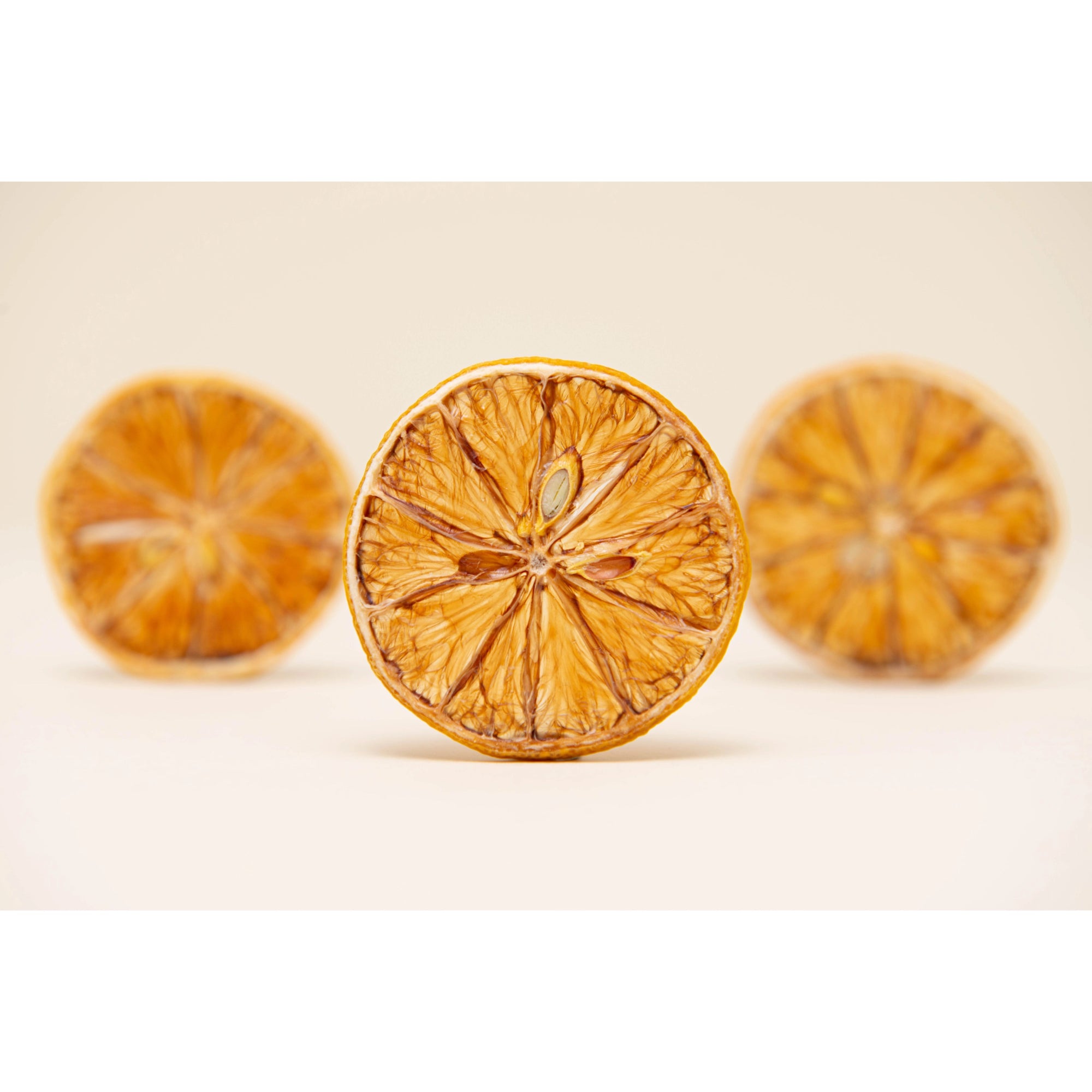 DEHY Lemon Wheel Garnish - The Zero Proof