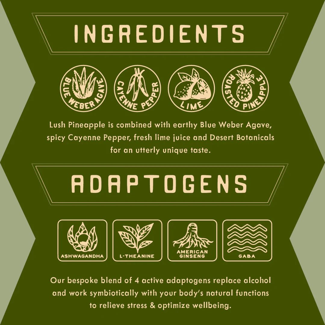 Parch Spiced Piñarita Non - Alcoholic Agave Cocktail (4 - Pack) - The Zero Proof